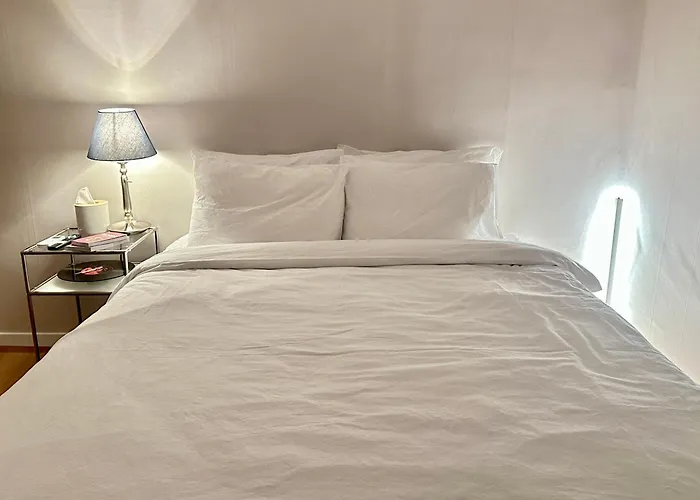 Entire House, 4 Minutes To Samsung Or Gangnam-gu Office Subway Station, Suitable For Plastic Surgery Visits, Business Trips, Families, 2 Rooms, 2 Queen Beds Gasthof Seoul